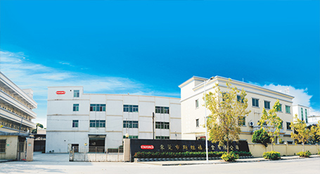 2015 发展